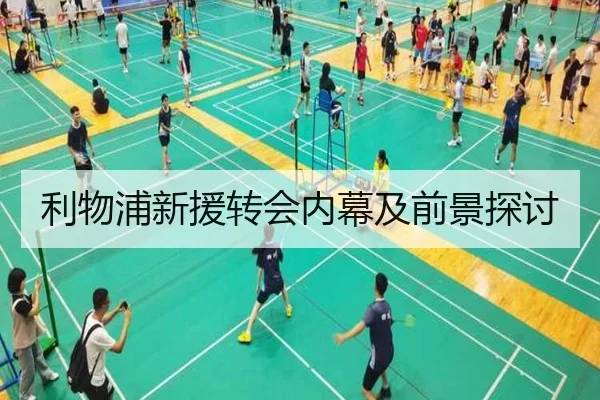利物浦新援转会内幕及前景探讨